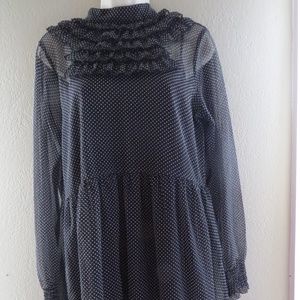 NWOT Sz Small Polk a Dot Sheer Dress w/ Liner